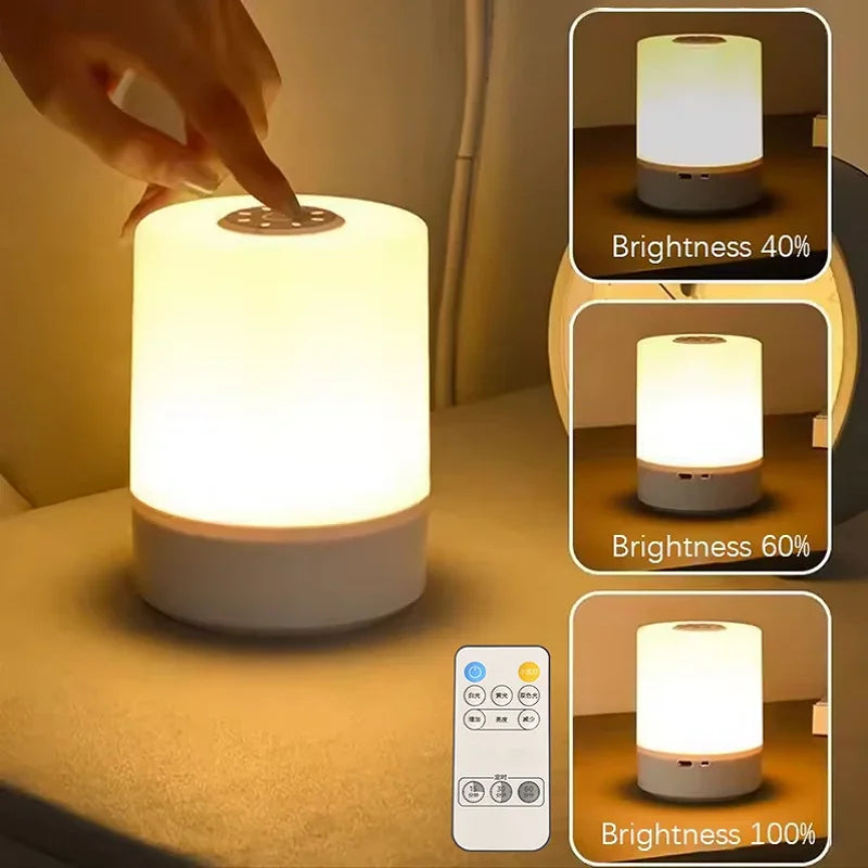 Dimmable Touch Rechargeable Bedside LED Table Lamp