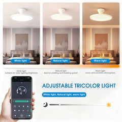 IRALAN LED Ceiling Fan with Light – detail view