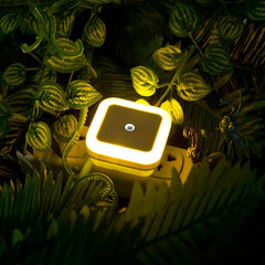 Wireless Mini Plug-In LED Night Light – detail view