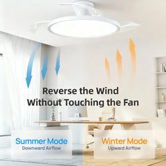 IRALAN LED Ceiling Fan with Light – close-up view